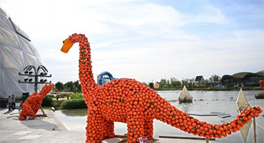 青島:“南瓜王國”吸引游客